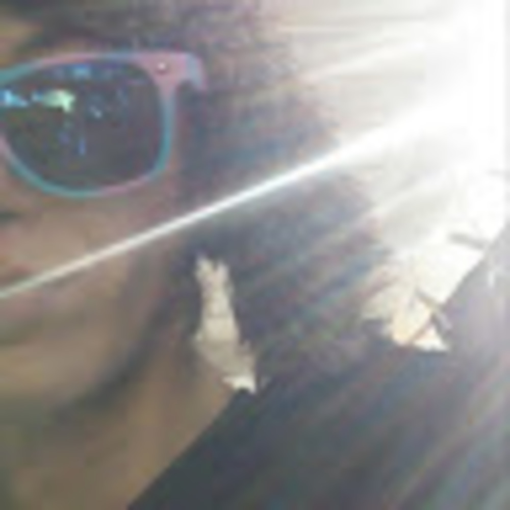 Meet your Posher, Cait